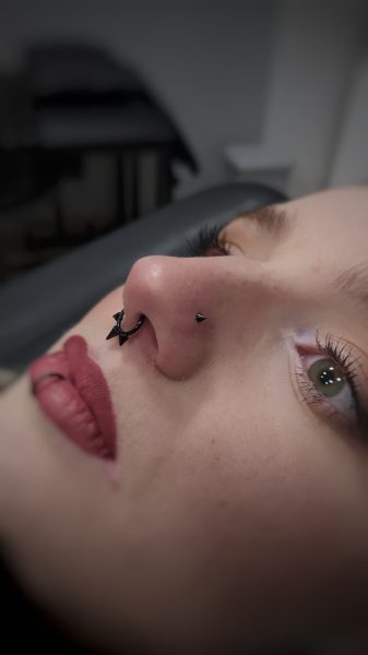 nostril piercing a septum piercing